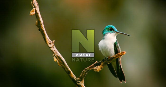 Viasat-nature