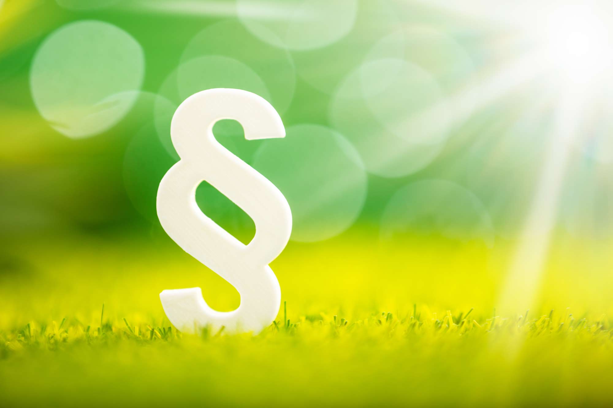 LPOnet Osk Anl:n jäsenille 18.12.2024